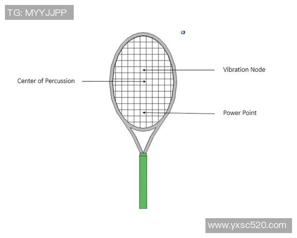 西安网球队的训练节奏与比赛表现深入分析与探讨
