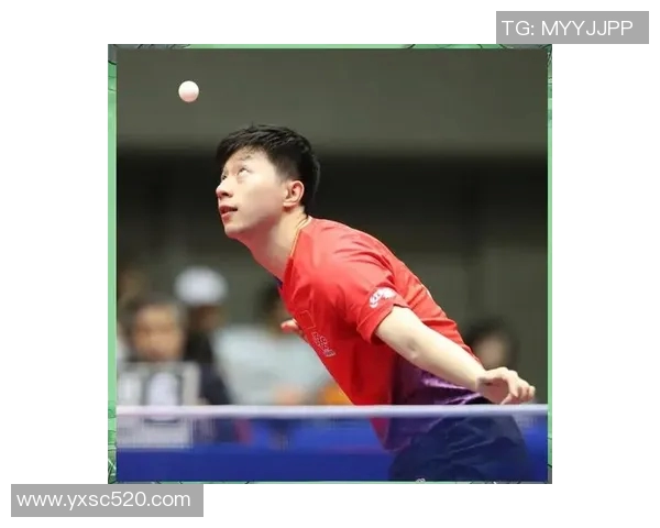 乒乓球新手必看灵活性训练技巧与入门指南全攻略