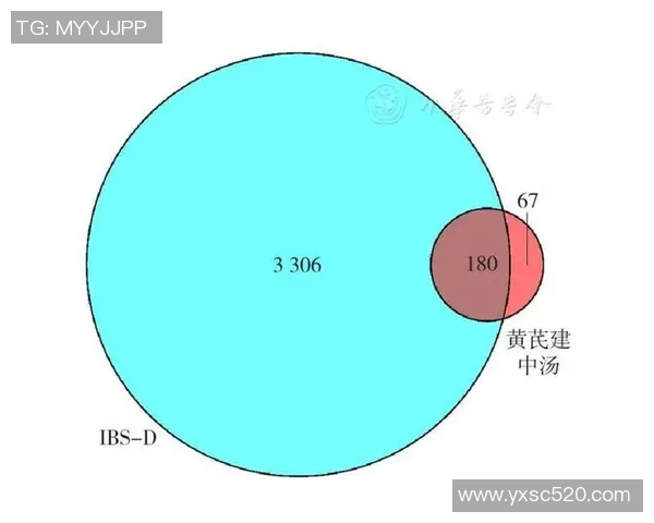 巴林足球明星的崛起与成就探讨及其对国家足球发展的影响